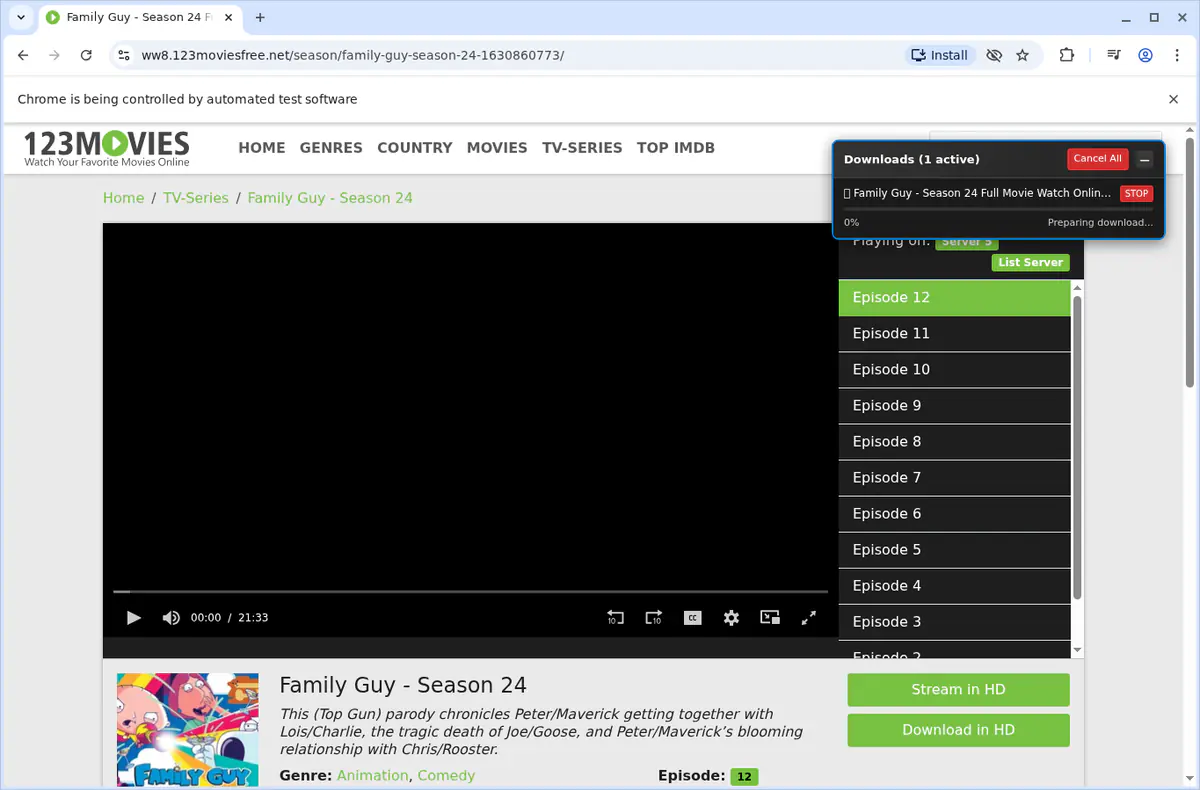 123movies Video Downloader browser extension screenshot 3