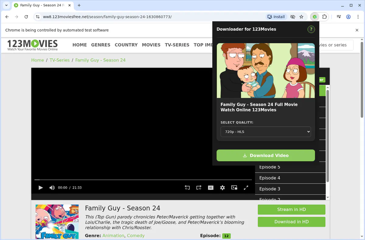 123movies Video Downloader browser extension screenshot 4
